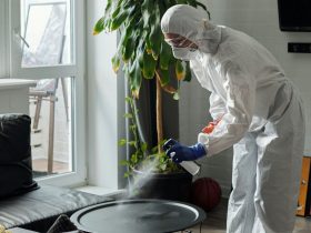 5 Critical Steps to Take After a Biohazard Incident in Your Long Island Home