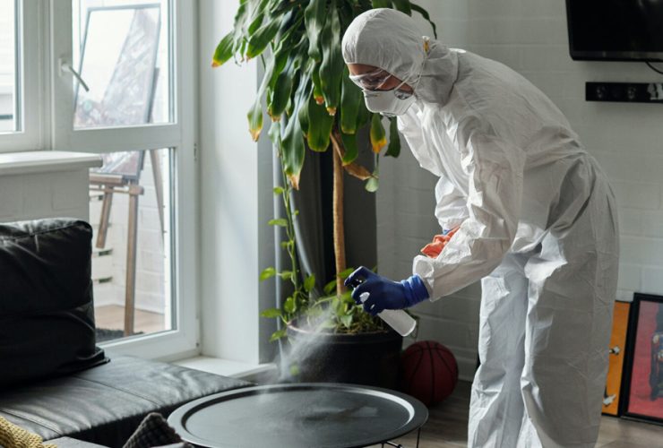 5 Critical Steps to Take After a Biohazard Incident in Your Long Island Home
