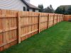 Affordable Fencing Solutions for New Homeowners